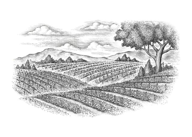 tomato fields bw